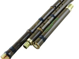 ZRE-AEFLUTE Chinese Bamboo Flauta Xiao Vertical Wind Musical Instruments huilu flute 8 Holes G/F key flauto with Accessories