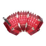 ZRE-AEACCRD Concertina Accordion 20-Button 40-Reed Anglo Style with Carrying Bag