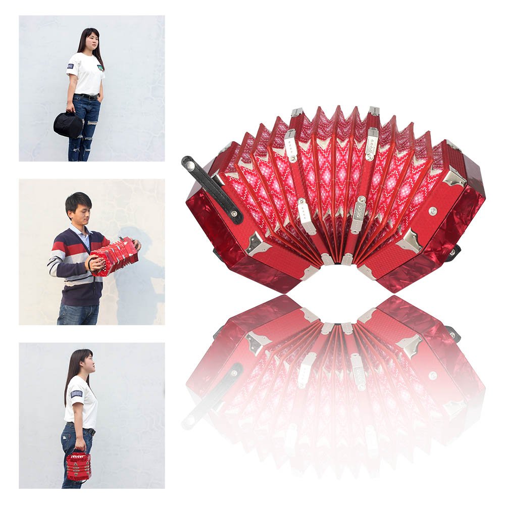 Concertina-Accordion-20-Button-40-Reed-Anglo-Style-with-Carrying-Bag