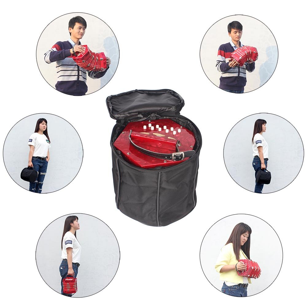 Concertina-Accordion-20-Button-40-Reed-Anglo-Style-with-Carrying-Bag