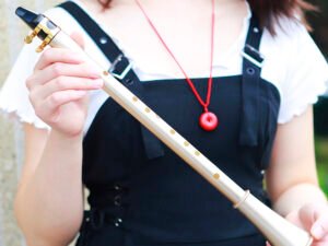 ZRE-AECLRNT E Flat Saxophone Woodwind Instrument ABS Resin Compact Clarinet Sax Easy To Learn Musical Instrument for Beginners Practice