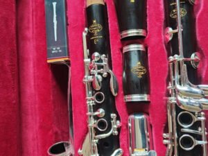 ZRE-AECLRNT High-end E13 B-flat silver-plated ebony clarinet professional playing French craft woodwind instrument manufacturing with case