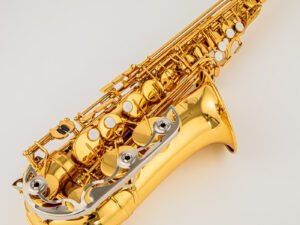 ZRE-AESXPH  200 Professional Alto Drop E Saxophone Gold Alto Saxophone with Band Mouth Piece Reed Aglet More Package mail