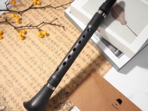 ZRE-AECLRNT Mini Bb B Flat Clarinet Pocket Clarionet Woodwind Instrument with Storage Bags for Beginners Practice Musical Instrument