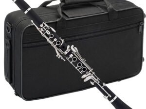 ZRE-AECLRNT New Clarinet B-flat Tune Professional High Quality Woodwind Instruments Clarinet Black tube With Case Accessories