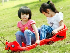 ZRE-AESKIIN Skiing Board Grass Sand Luge Skiing Sled Board Snowboard Kids Adults Outdoor Sports Supplies