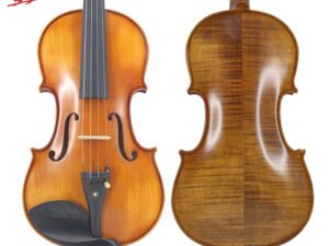 ZRE-AEVIOLIN TONGLING New Natural Flamed Maple Violin Full Size Hand-craft Violin Stringed Musical Instrument Ebony Fitted Case Bow Rosin