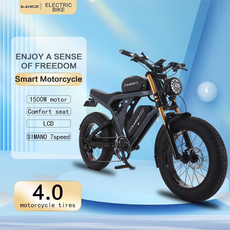 Electric-Bicycle-48v-1500W-E-Bike-36-41AH-Dual-Battery-Electric-Motorcycle-50KM-h