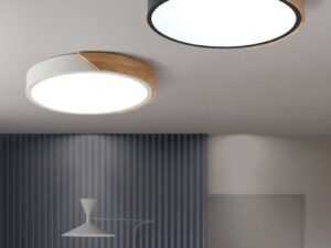 ZRE-CLNG Lampara Led Techo LED Ceiling Light For Room Decoration Bedroom Lamp Corridor Balcony Lighting Lights Living Room Chandelier