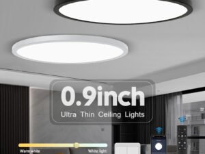ZRE-CLNG Ultrathin 0.9inch Brightness Dimmable LED Ceiling Lamp for bedroom Living Room kitchen Lamps Room Lights Led Ceiling Lighting