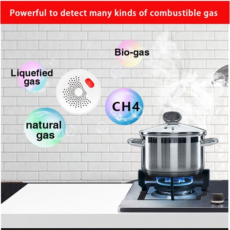 EU-Plug-LPG-LNG-CH4-Flammable-Natural-Gas-Sensor-Detector-Zigbee-Wifi-Tuya-Home-Security-Automation